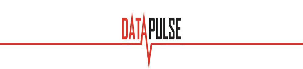 DataPulse Logo