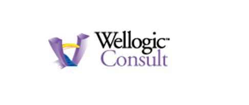 wellogic consult logo
