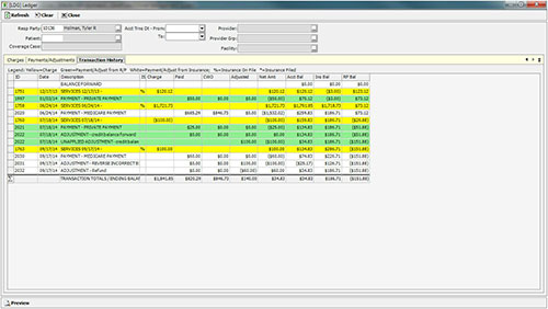 financial ledger